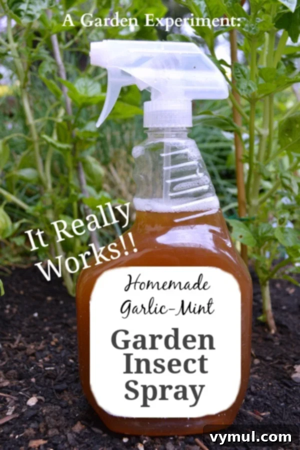An Oregon Cottage Rewind: Our Top 10 Posts of 2014 3 Homemade Garlic-Mint Natural Garden Insect Spray - An Oregon Cottage