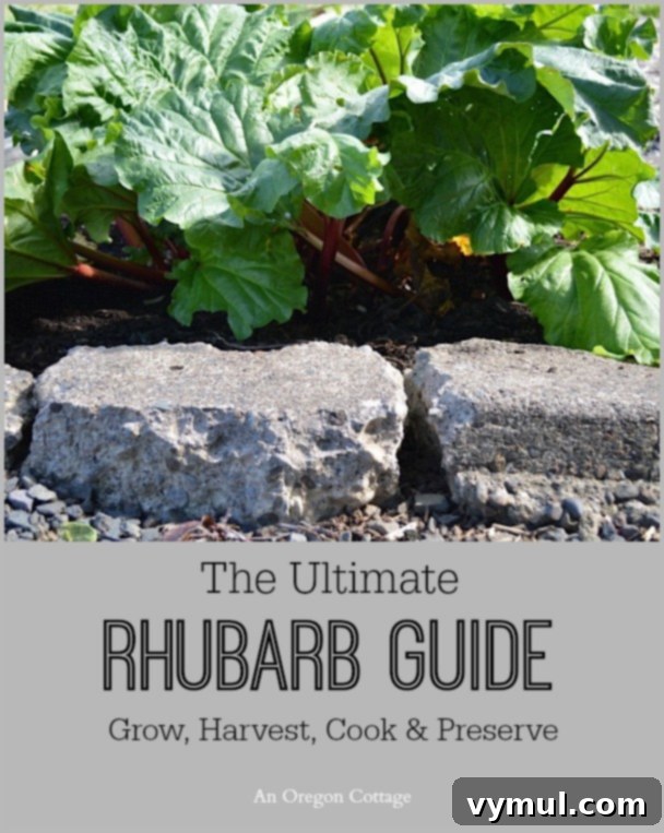 An Oregon Cottage Rewind: Our Top 10 Posts of 2014 8 The Ultimate Rhubarb Guide - Grow Harvest Cook Preserve at An Oregon Cottage