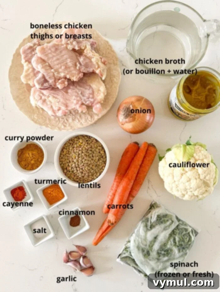 chicken lentil and vegetable curry ingredients