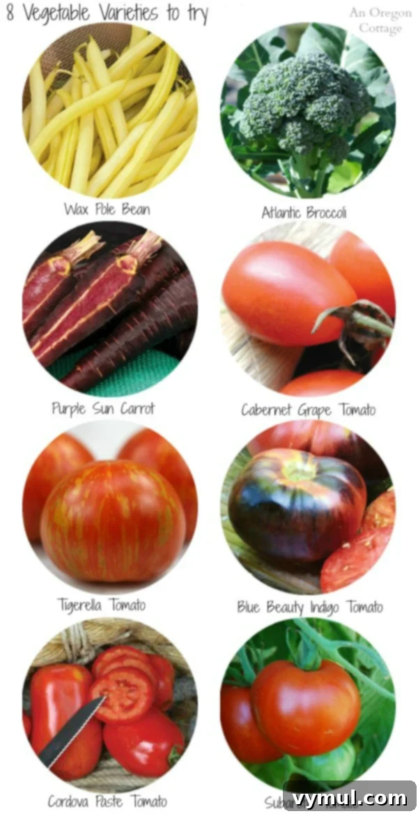 Future-Forward & Time-Tested Vegetable Seeds 2 A vibrant selection of garden vegetables, showcasing a mix of newer varieties and beloved favorites, ready for planting and harvest.