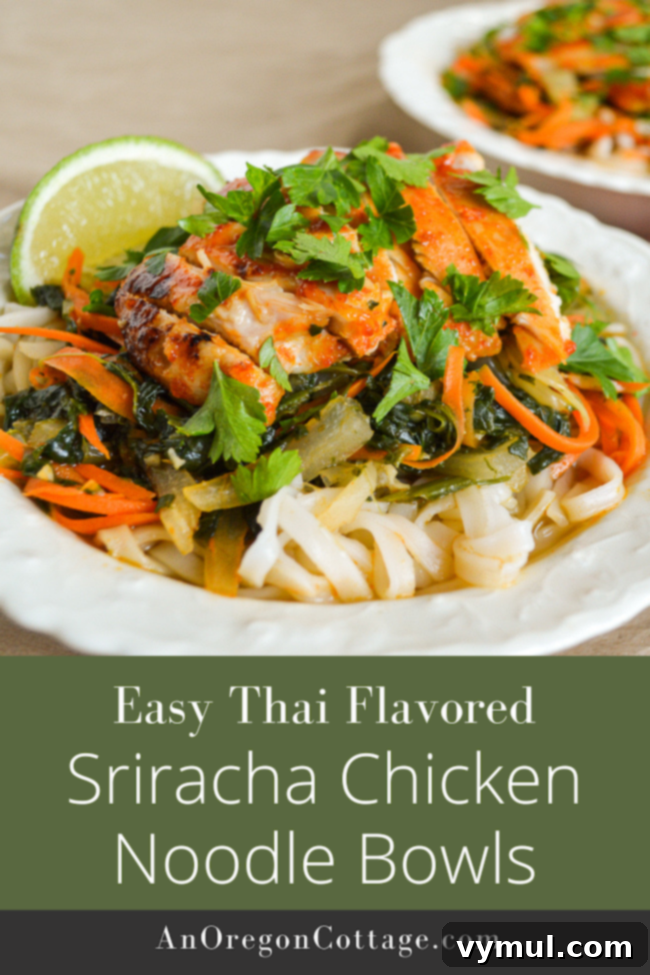 Easy One-Pan Sriracha Chicken Noodle Bowls 10 Delicious Thai Sriracha Chicken Noodle Bowls served in individual bowls
