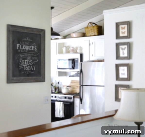 Gray Weathered Framed Chalkboard and Butterfly Specimens