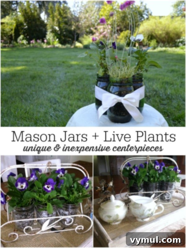 Effortless Live Plant Displays in Mason Jars 2 Beautiful mason jars filled with live plants make perfect centerpieces for any occasion. These arrangements are easy to create, last for weeks, and can be planted outdoors later, offering a sustainable and budget-friendly decor option for outdoor parties, showers, birthdays, and more.