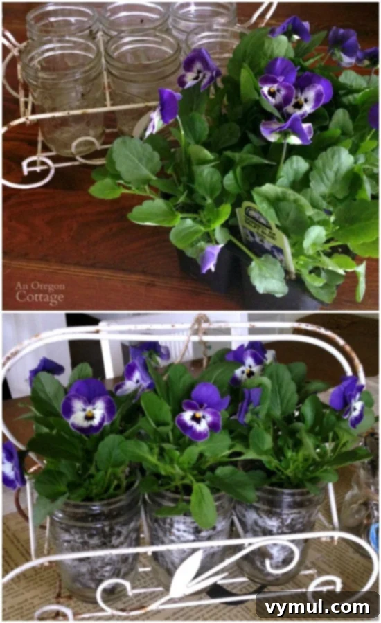 Effortless Live Plant Displays in Mason Jars 3 An easy and charming centerpiece featuring live pansies arranged in half-pint mason jars, nestled within a vintage glass holder. Perfect for adding a touch of spring indoors or for outdoor garden parties. This setup highlights simple, budget-friendly floral decor.