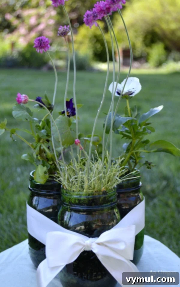 Effortless Live Plant Displays in Mason Jars 6 A charming and budget-friendly centerpiece featuring three pint-sized mason jars filled with vibrant live plants, elegantly tied together with a ribbon. This super easy arrangement is perfect for outdoor parties, baby showers, birthdays, or as beautiful wedding table decorations, offering a sustainable floral solution.