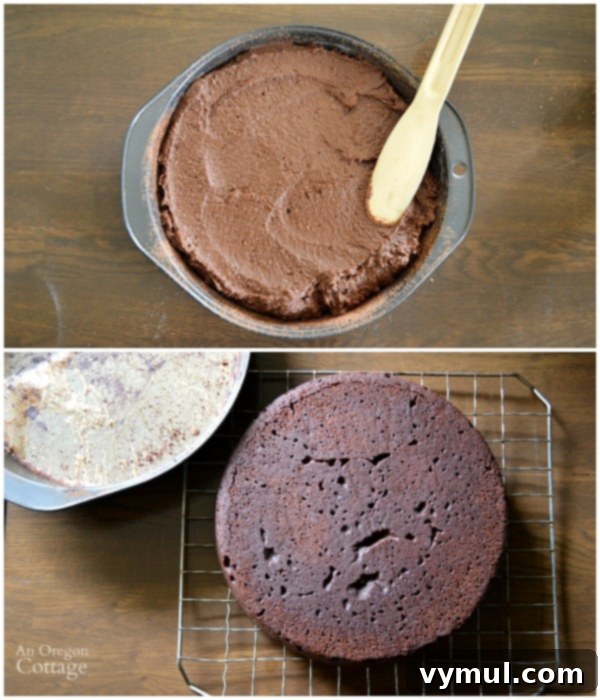 Indulgent Dark Chocolate Spelt Cake with Mocha Ganache 5 Baking Dark Chocolate Spelt Cake with Mocha Ganache