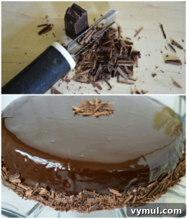 Indulgent Dark Chocolate Spelt Cake with Mocha Ganache 8 Dark Chocolate Spelt Cake with Mocha Ganache-chocolate shaving decoration