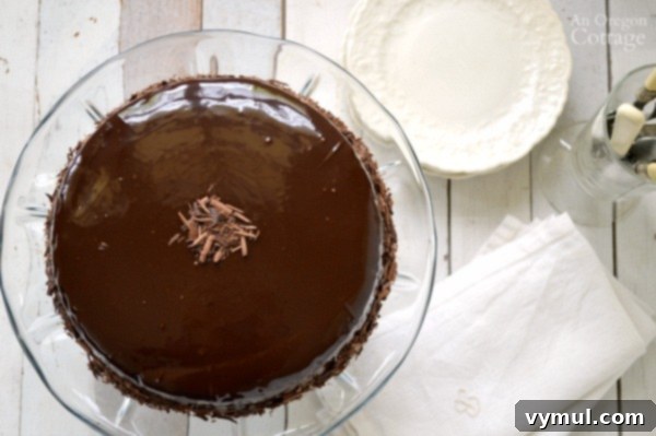 Indulgent Dark Chocolate Spelt Cake with Mocha Ganache 9 Dark Chocolate Spelt Cake with Mocha Ganache makes a special dessert that only looks hard!