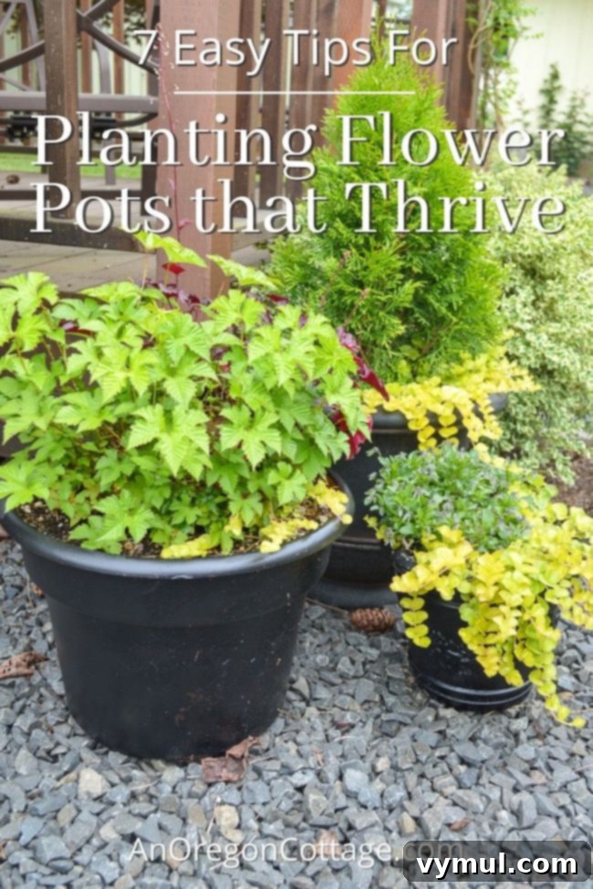 easy tips for planting flower pots