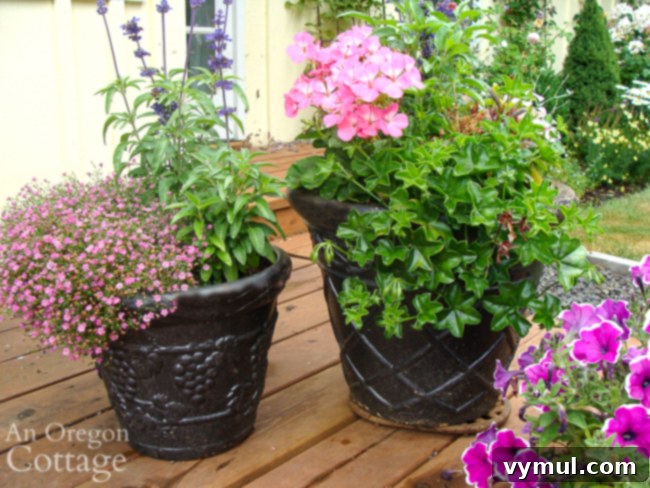 August pots-thriller-filler-spiller