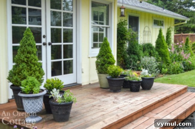 Side deck from left-after pots