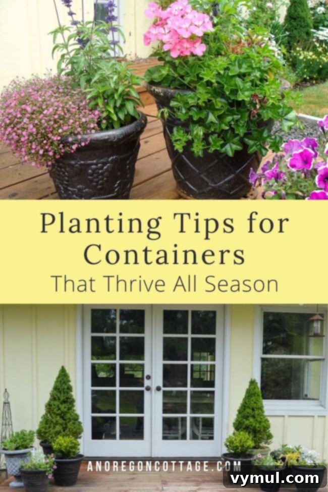planting tips for containers pin image