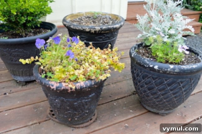 flower pots before refresh