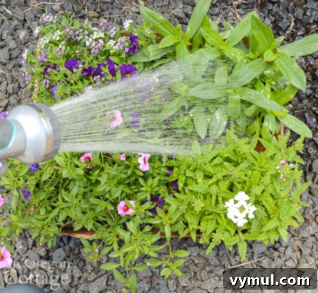 watering color spots before planting