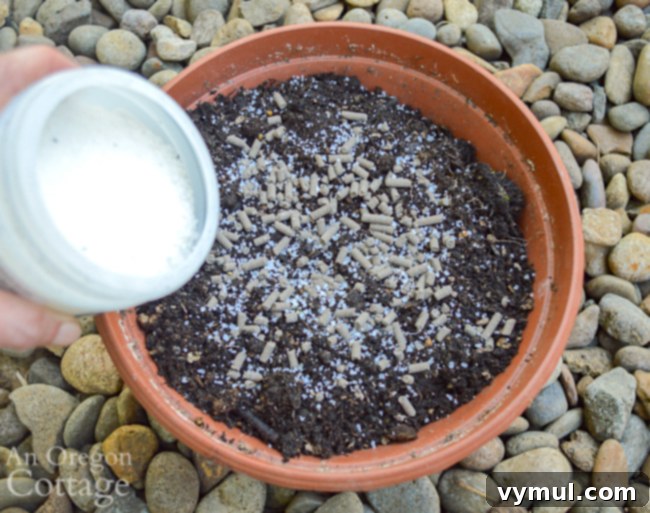 water crystals-fertilizer in pot