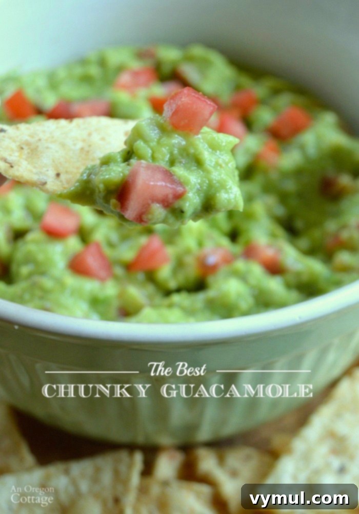Unforgettable Chunky Guacamole 2 The Best Chunky Guacamole for dips, salads and toppings