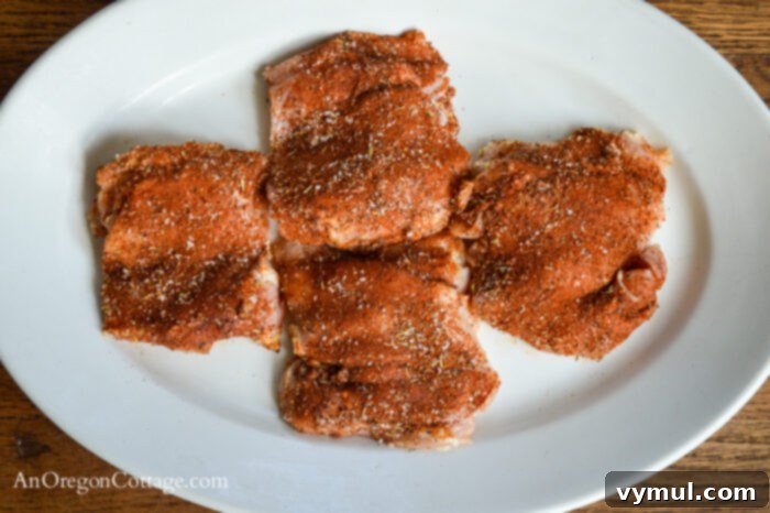 Seasoned Chicken Ready for Grill