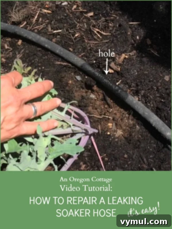 Video Tutorial - How to repair a garden soaker hose 
