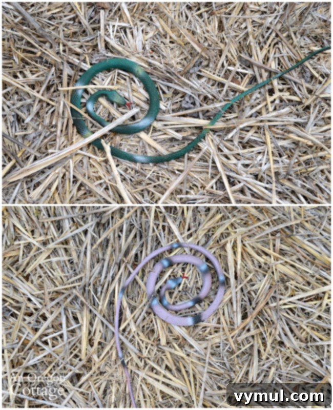 Bird-Proof Your Berries Naturally and Affordably 4 Use toy snakes to scare birds from berries