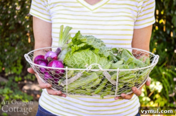 Harvest for Thai Grilled Salad in basket - showing fresh carrots, snap peas, and cabbage