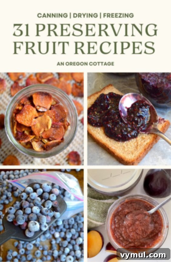 Preserve Your Fruit 31 Recipes for Canning Freezing and Drying 3 A beautifully arranged collection of various preserved fruits, showcasing the bounty of the harvest in jars and containers, ready for winter.