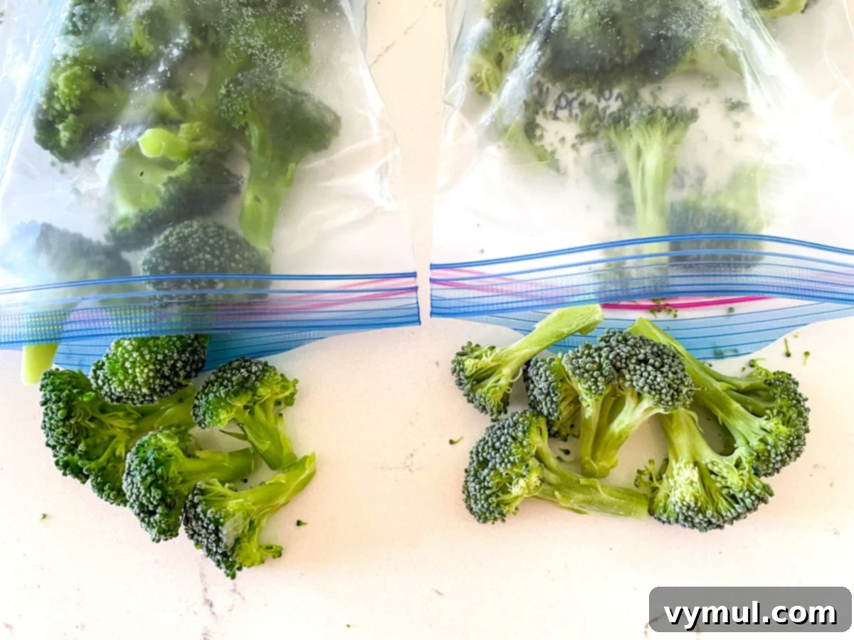 Garden-Fresh All Year: 36+ Ways to Preserve Vegetables by Freezing, Drying, Canning, and Fermenting 12 Comparing what frozen blanched and unblanched broccoli looks like out of baggies.