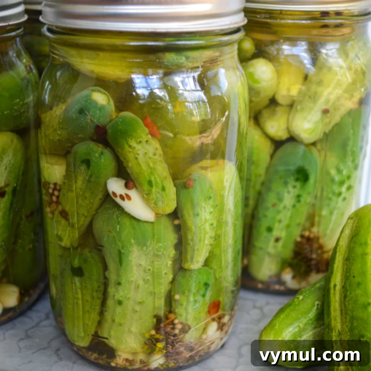 Garden-Fresh All Year: 36+ Ways to Preserve Vegetables by Freezing, Drying, Canning, and Fermenting 14 jars of dill pickles close