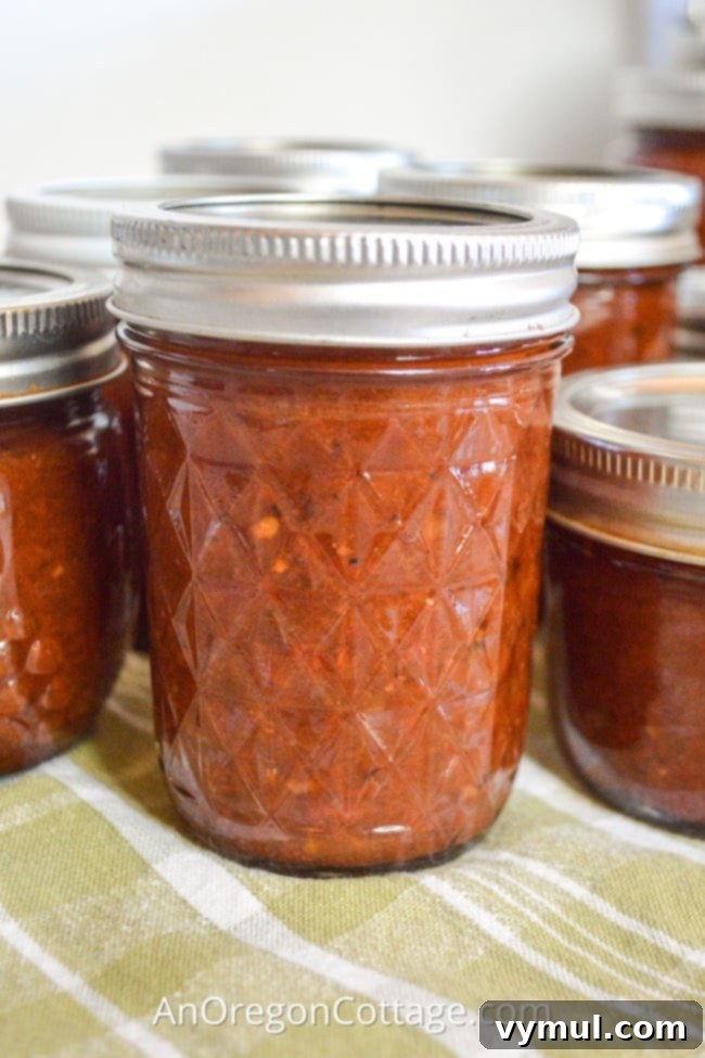 Garden-Fresh All Year: 36+ Ways to Preserve Vegetables by Freezing, Drying, Canning, and Fermenting 17 tomato chutney recipe_featured