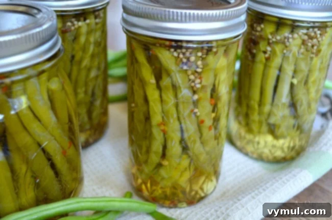 Garden-Fresh All Year: 36+ Ways to Preserve Vegetables by Freezing, Drying, Canning, and Fermenting 26 Garlic Spiced Canned Pickled Beans