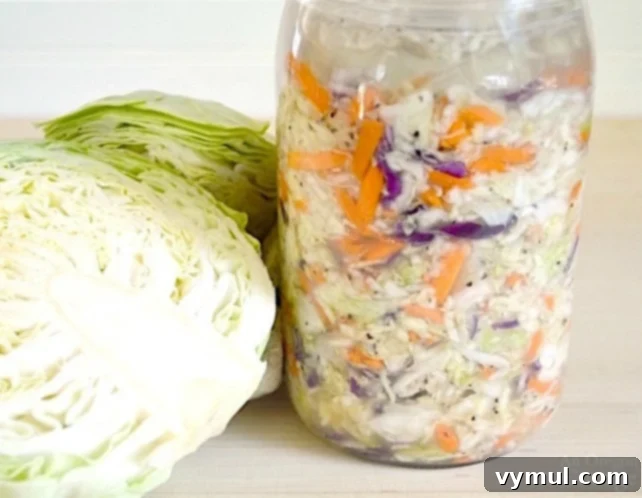 Garden-Fresh All Year: 36+ Ways to Preserve Vegetables by Freezing, Drying, Canning, and Fermenting 27 Easy mild homemade sauerkraut