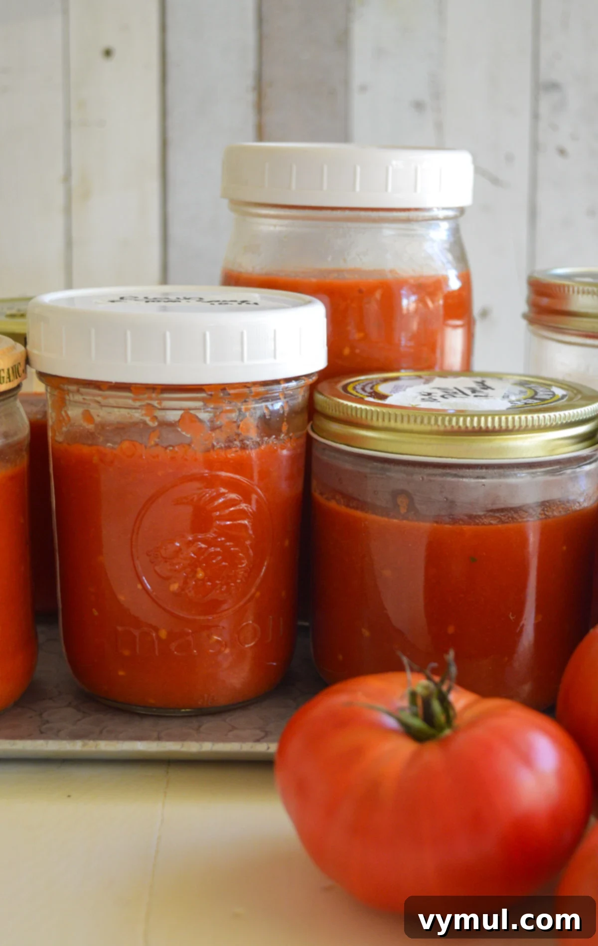 Garden-Fresh All Year: 36+ Ways to Preserve Vegetables by Freezing, Drying, Canning, and Fermenting 9 jars of plain tomato sauce ready to freeze
