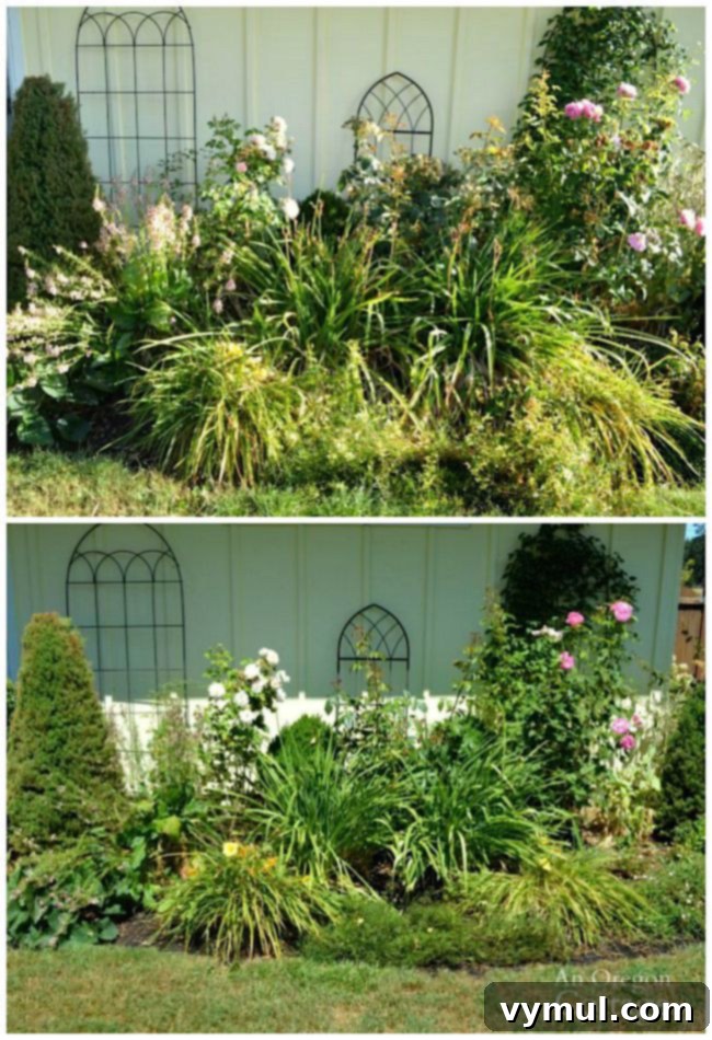 Ways to add curb appeal in late summer- trim plants in beds and borders for a tidy look