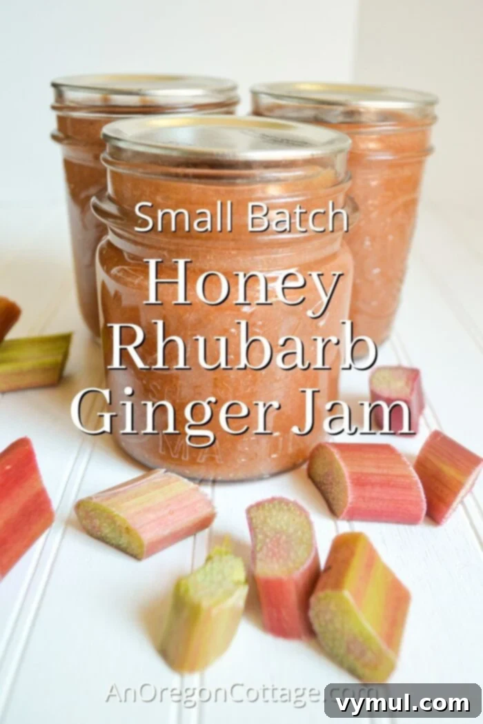 Handcrafted Honey Rhubarb Ginger Preserve 2 Collection of small batch honey rhubarb ginger jam jars with fresh rhubarb stalks on a wooden surface