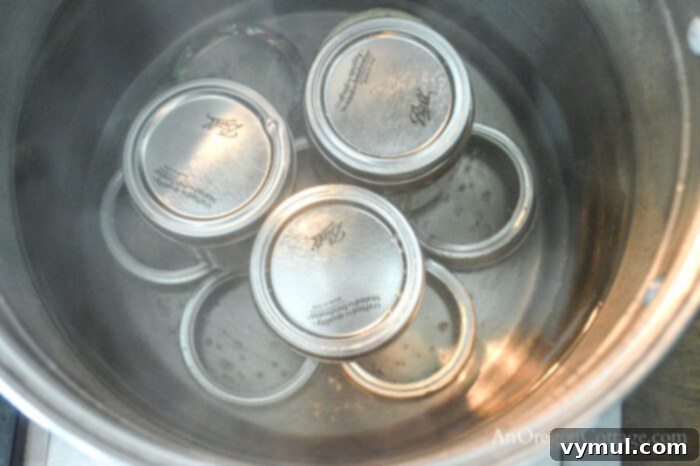 Handcrafted Honey Rhubarb Ginger Preserve 6 Three jars of homemade rhubarb jam being processed in a water bath canner with a makeshift rack of canning rings