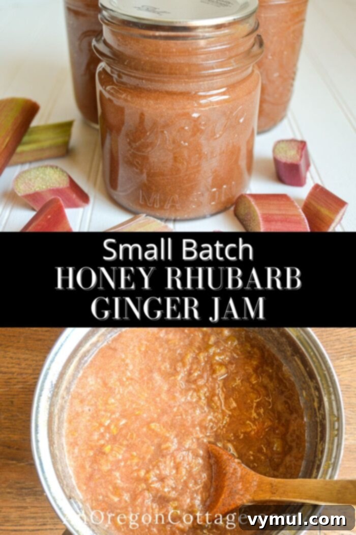 Handcrafted Honey Rhubarb Ginger Preserve 10 Delicious homemade honey rhubarb ginger jam in a beautiful glass jar, ready to be enjoyed or gifted