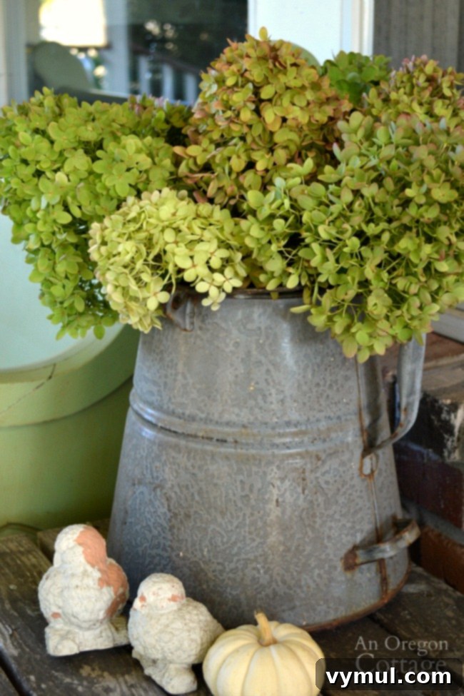 Easy Fall Porch Decor with a galvanized pitcher filled with dried hydrangeas, next to pumpkins.