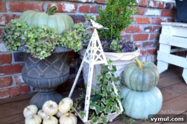 Fall Porch with green and white pumpkin topiaries and dried hydrangeas.