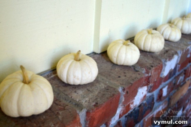 Easy Fall Porch Decor with a pile of baby boo pumpkins.
