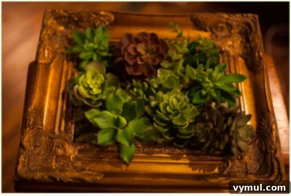 DIY Faux succulent frames for a low-maintenance botanical gift.