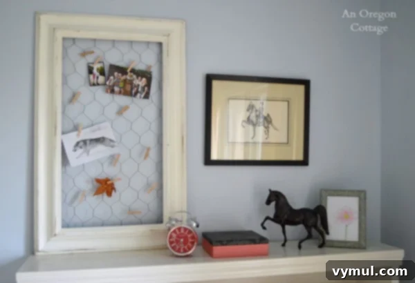 DIY Recycled Frame Chicken Wire Photo Holder, an easy craft from a thrifted frame.