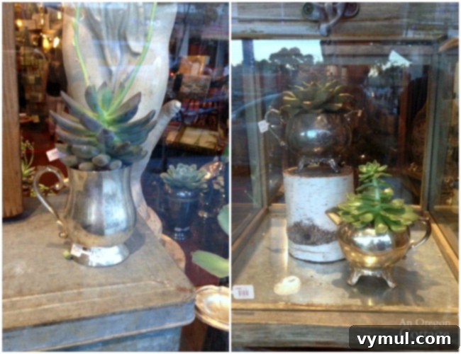 Collection of potted succulents in various vintage silver containers, including a creamer, sugar bowl, and goblet, displayed on a wooden surface.