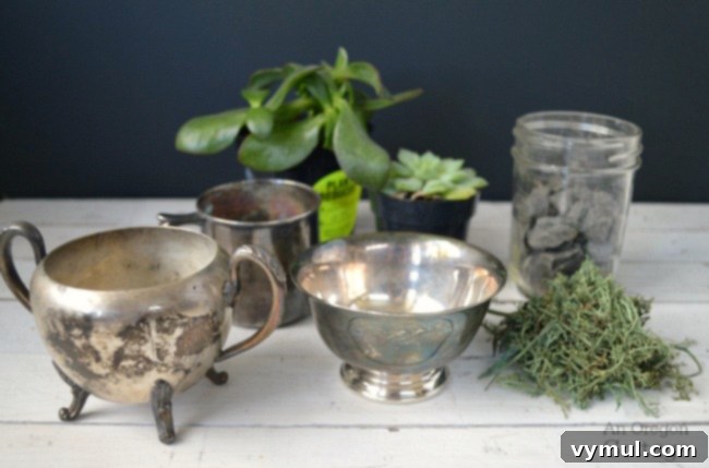 Essential materials for DIY succulent planters in vintage silver, including various silver containers, potting soil, gravel, moss, and succulents.