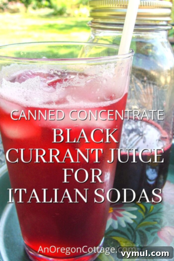black currant juice concentrate made into Italian soda in glass