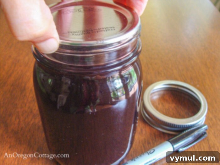 testing canned jar lid