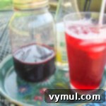 black current Italian soda in glass