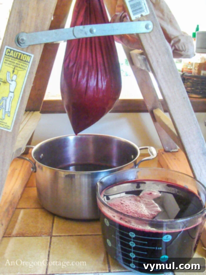ladder juice hanger for black currant juice