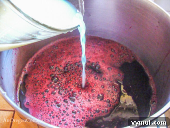 adding ingredients to make black currant juice in a pot