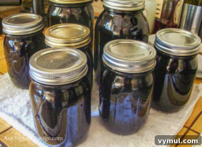 Canned Current Juice Jars cooling on counter