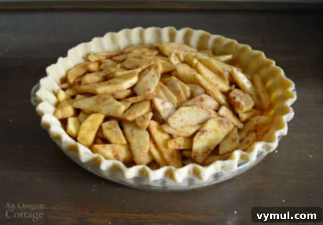 A pie crust ready to be filled, showcasing its beautiful, shaped edges.