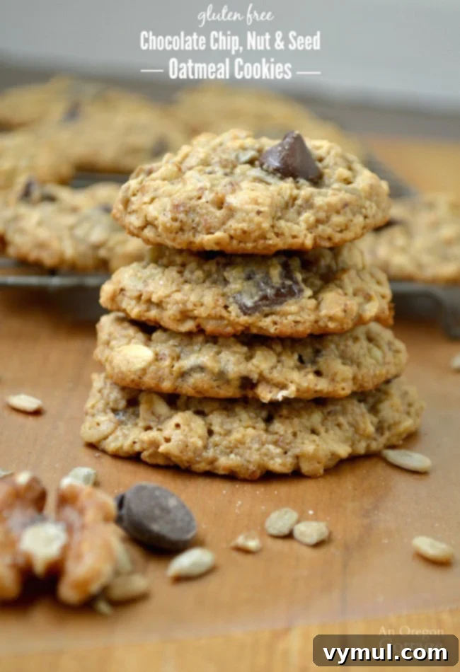 Gluten-Free Chocolate Chip, Nut and Seed Oatmeal Cookies 2 Gluten-Free Chocolate Chip, Nut & Seed Oatmeal Cookies – A healthy treat brimming with oats, protein from nut butter, and essential nutrients from sunflower & flax seeds. Perfect for dessert, a snack, or even a wholesome breakfast!